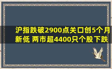 沪指跌破2900点关口创5个月新低 两市超4400只个股下跌